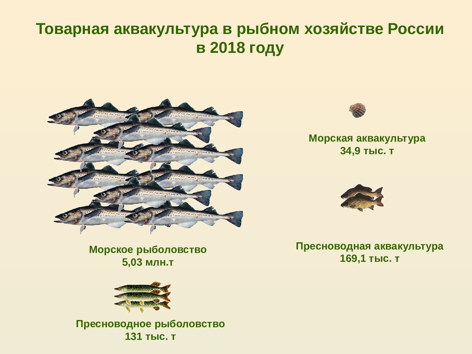 Реферат: Становление рыболовства в России